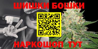 мдпв Мариинск